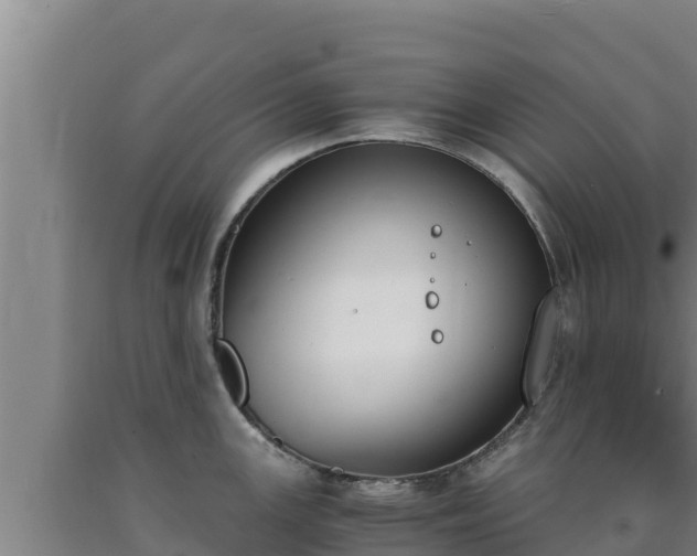 X0000090741147200707271419