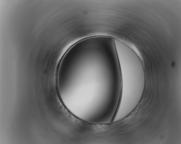 X0000090741148200707271419