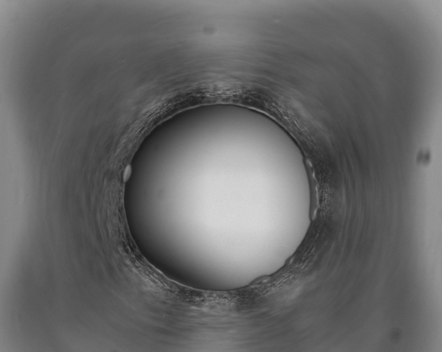 X0000090741153200707271418