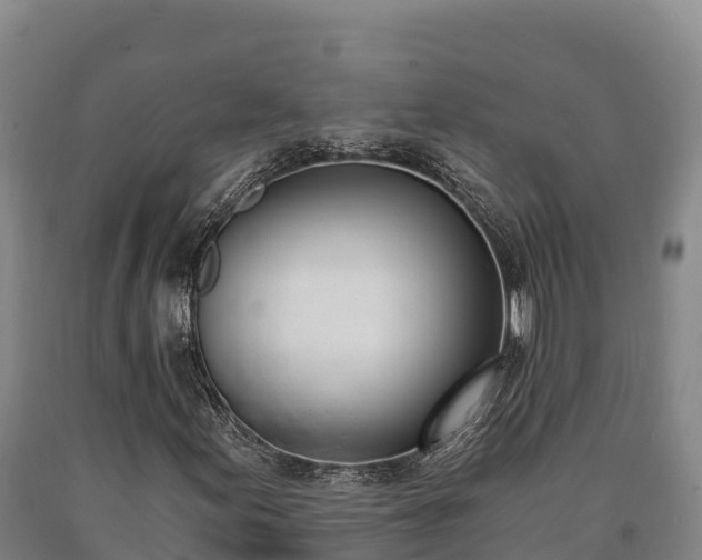 X0000090741155200707271418