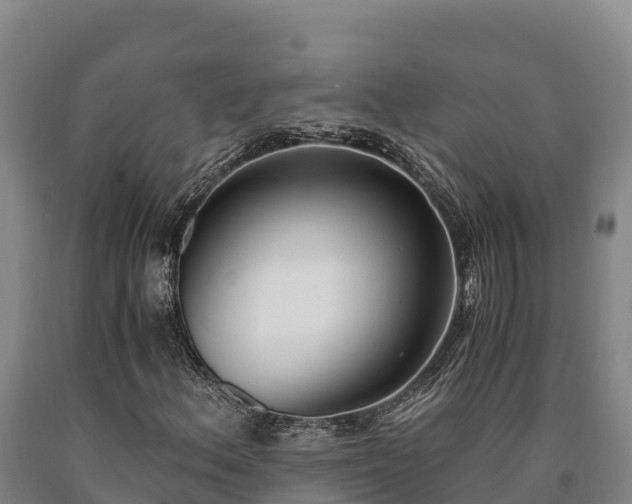 X0000090741156200707271418