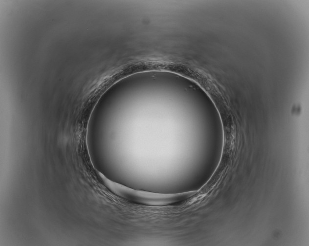X0000090741157200707271418