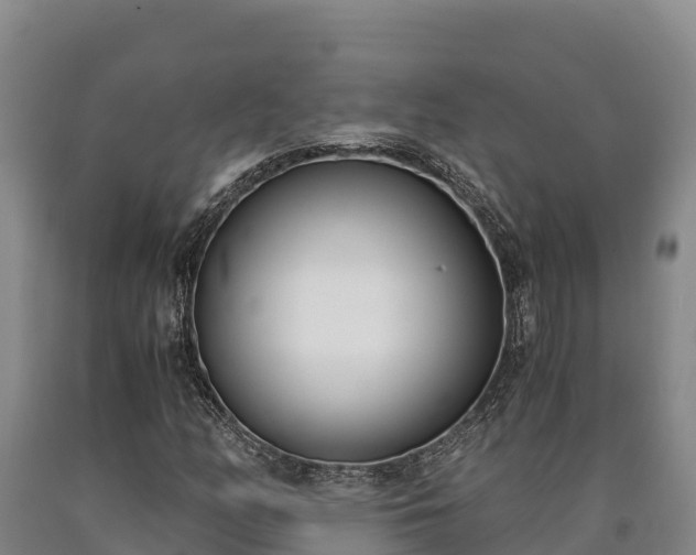 X0000090741158200707271418