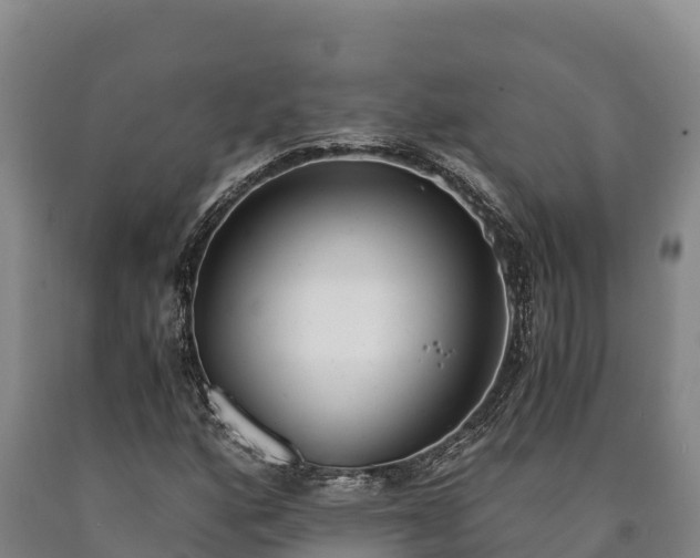 X0000090741160200707271418
