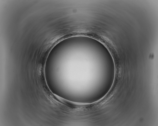 X0000090741161200707271418