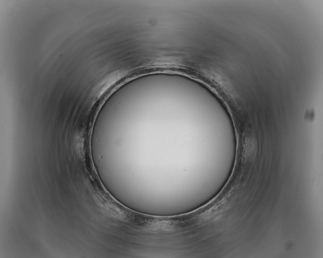 X0000090741162200707271418