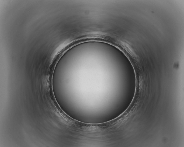 X0000090741164200707271418