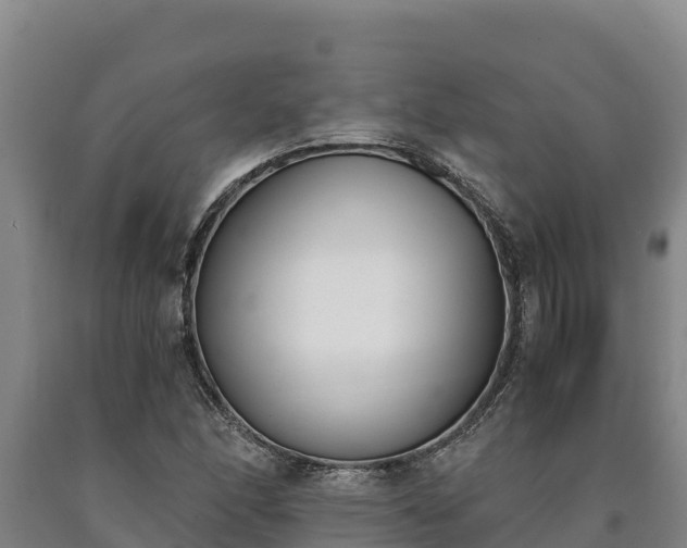 X0000090741166200707271418