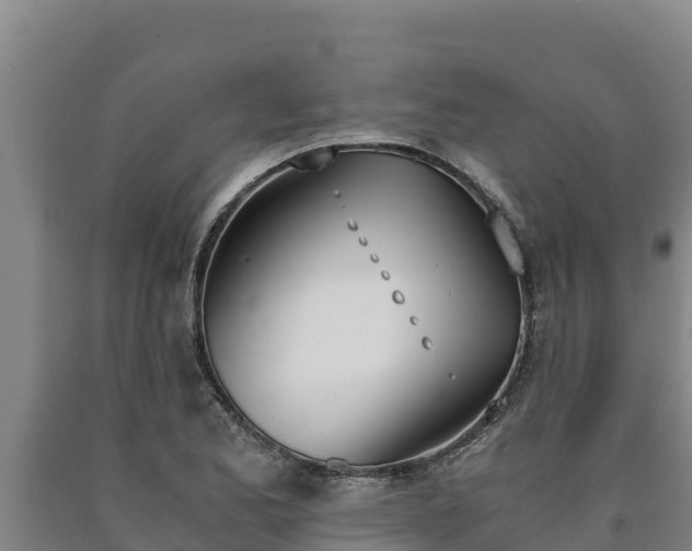 X0000090741173200707271418