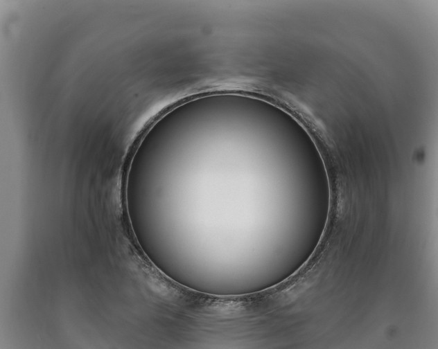 X0000090741174200707271418