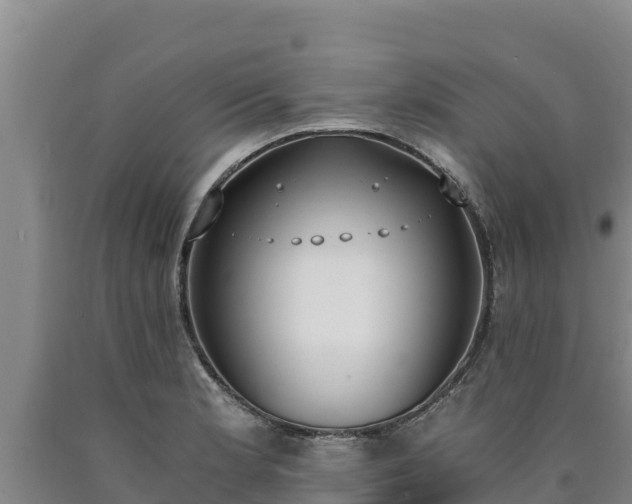X0000090741181200707271418