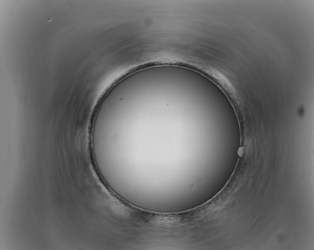 X0000090741183200707271418