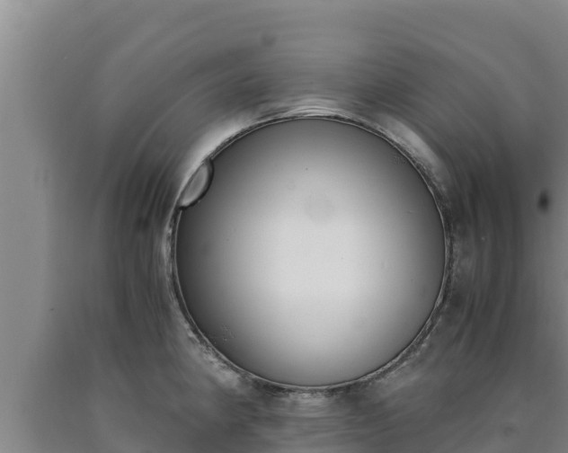 X0000090741190200707271418