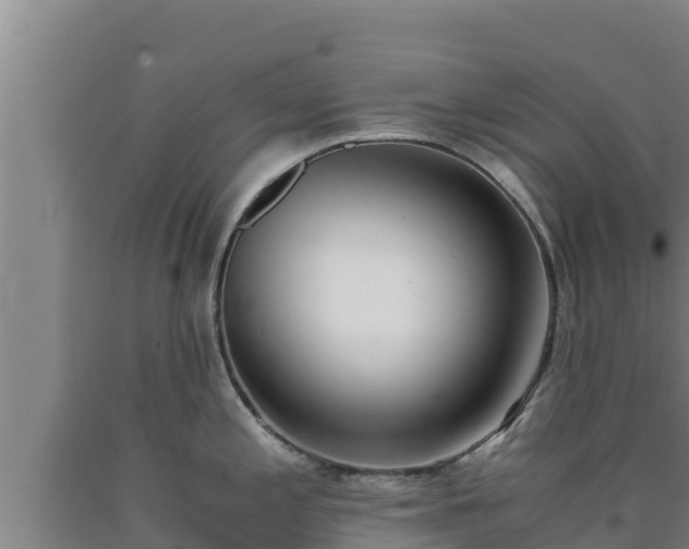 X0000090741197200707271418