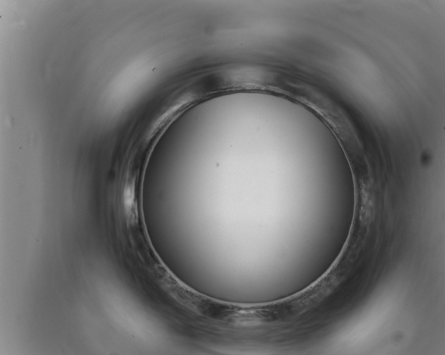 X0000090741198200707271418