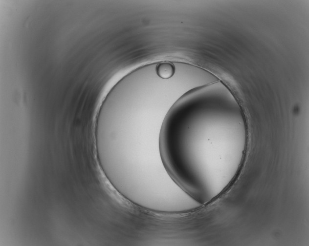 X0000090741200200707271418