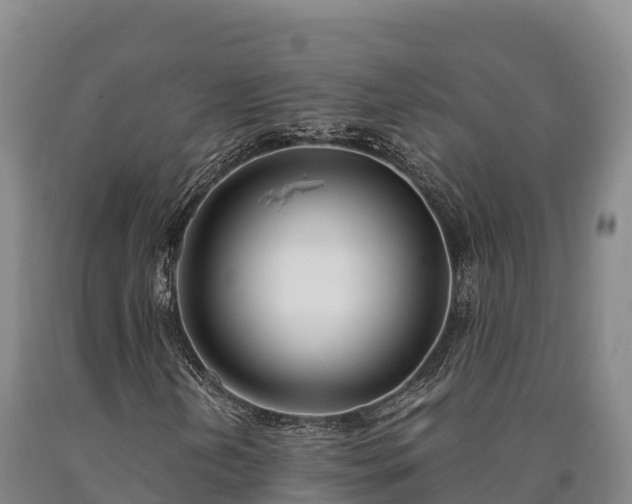 X0000090741202200707271417