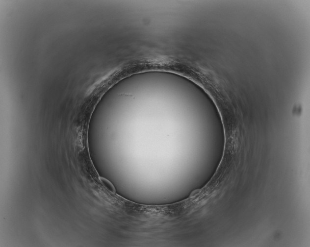 X0000090741205200707271417