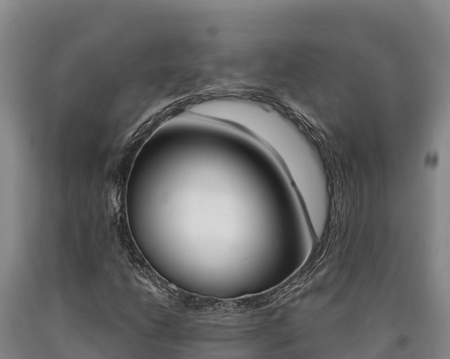 X0000090741206200707271417