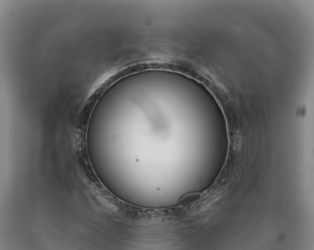 X0000090741208200707271417