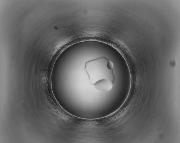 X0000090741210200707271417