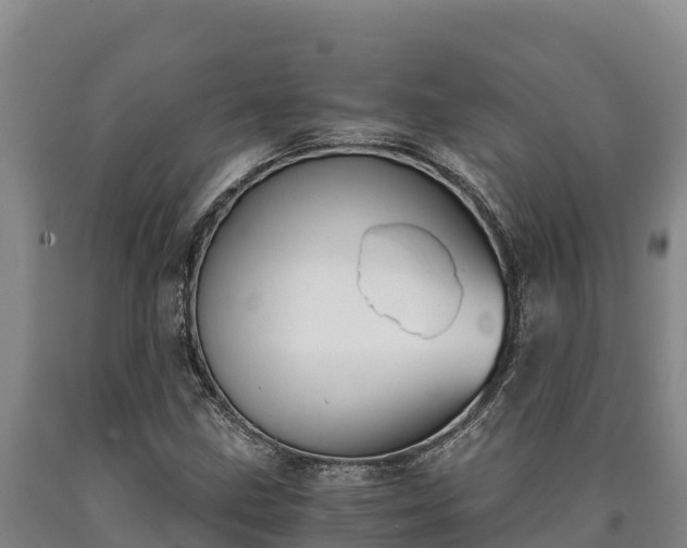 X0000090741211200707271417