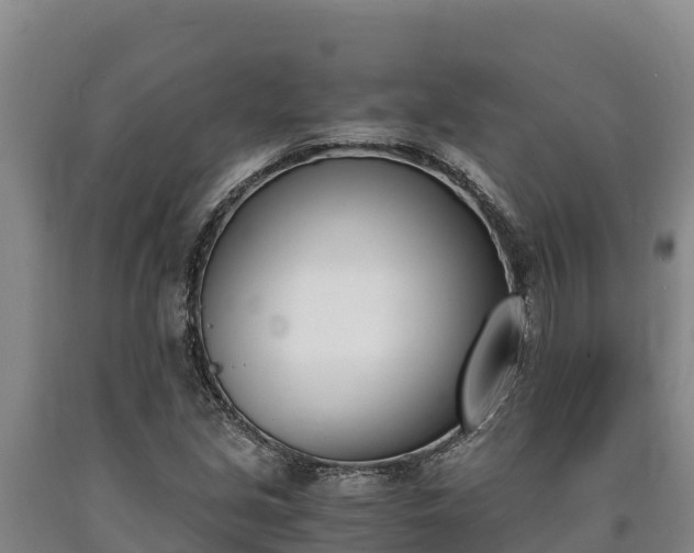 X0000090741213200707271417