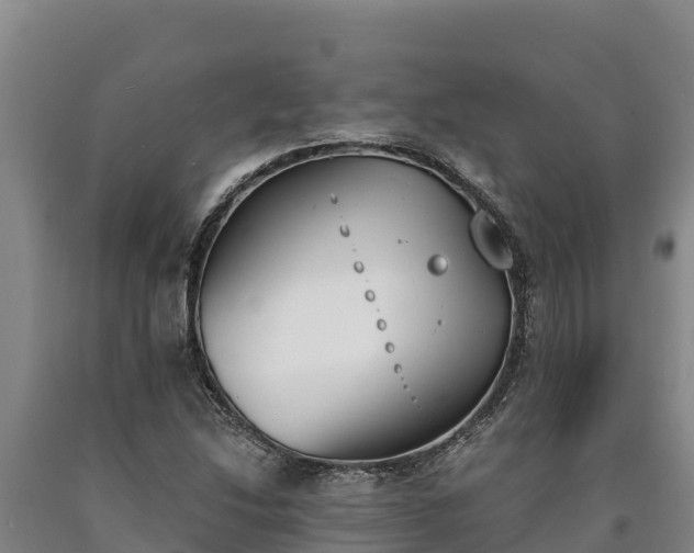 X0000090741214200707271417