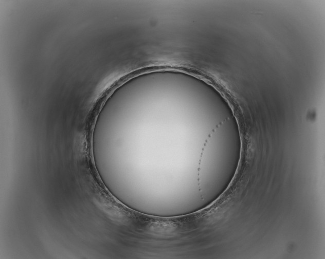 X0000090741215200707271417