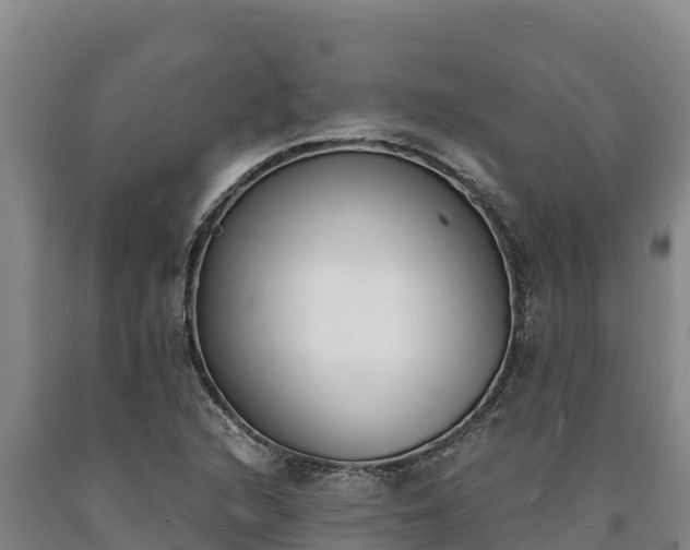X0000090741216200707271417