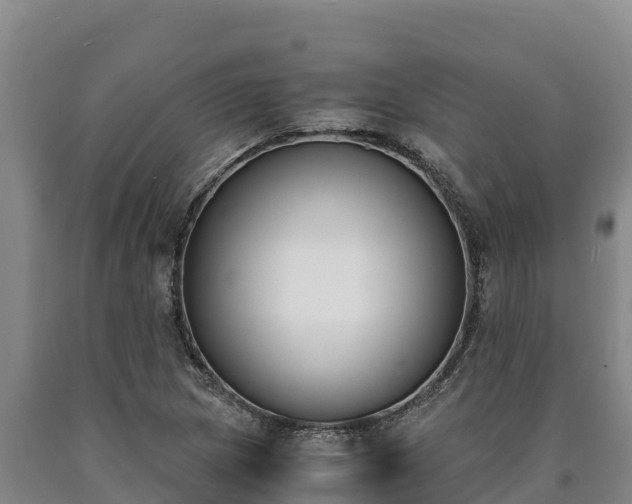 X0000090741217200707271417