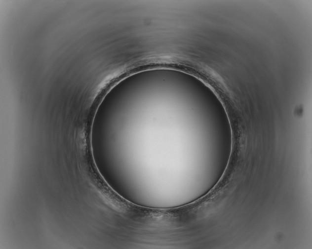 X0000090741218200707271417