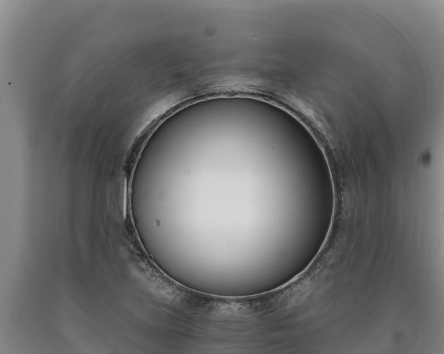 X0000090741219200707271417