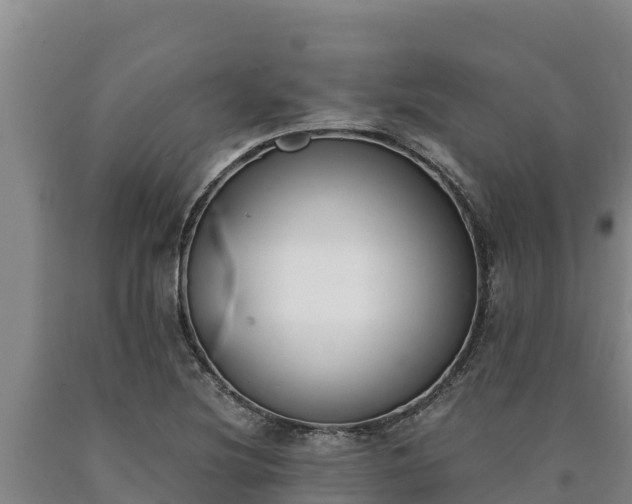 X0000090741220200707271417