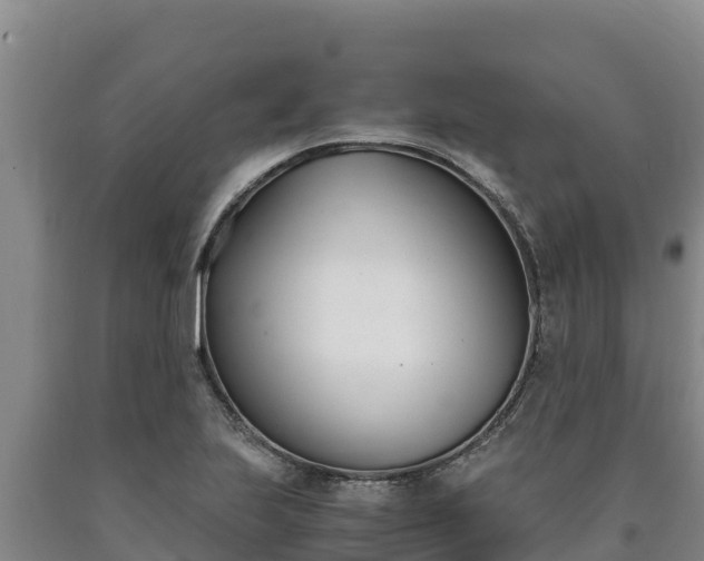 X0000090741223200707271417