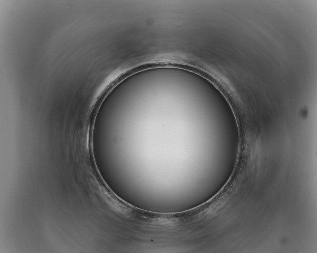 X0000090741224200707271417