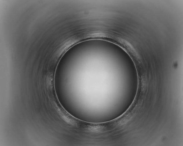 X0000090741225200707271417