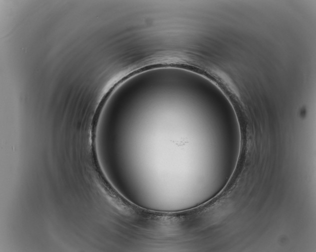 X0000090741226200707271417