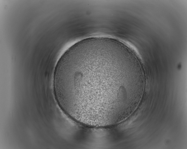 X0000090741231200707271417