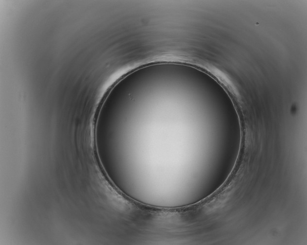 X0000090741238200707271417