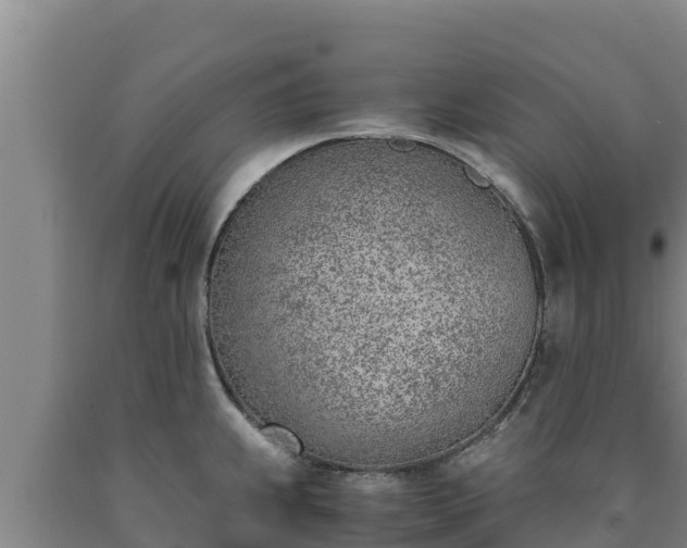 X0000090741239200707271417