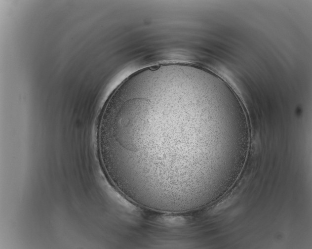 X0000090741243200707271417