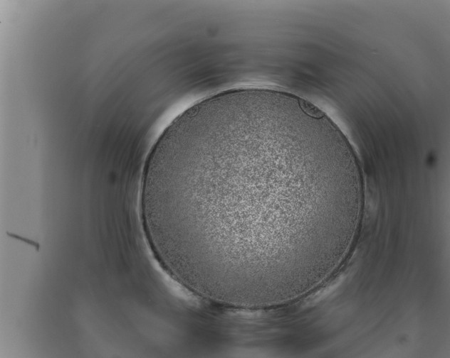X0000090741245200707271417