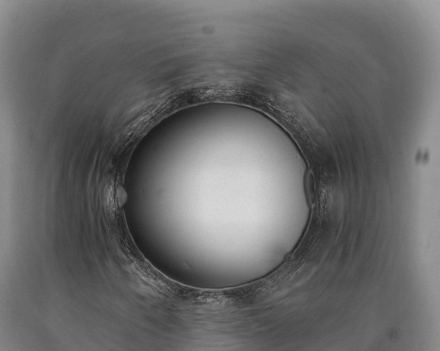 X0000090741250200707271417
