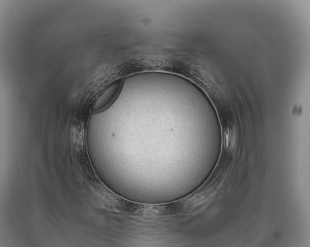 X0000090741251200707271417