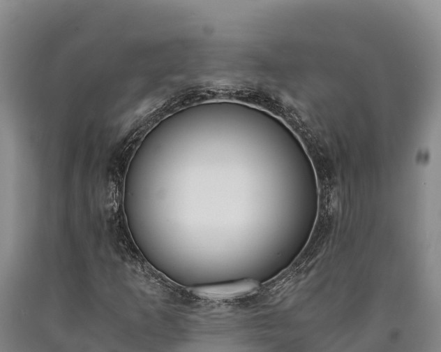 X0000090741253200707271417