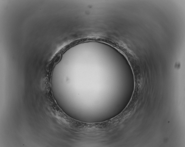 X0000090741256200707271417