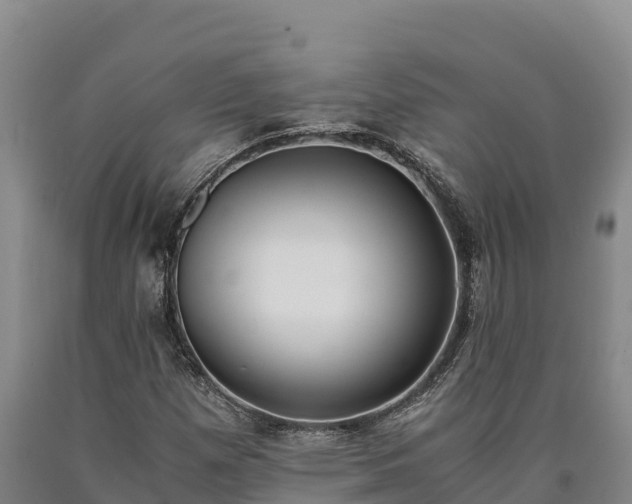 X0000090741257200707271417