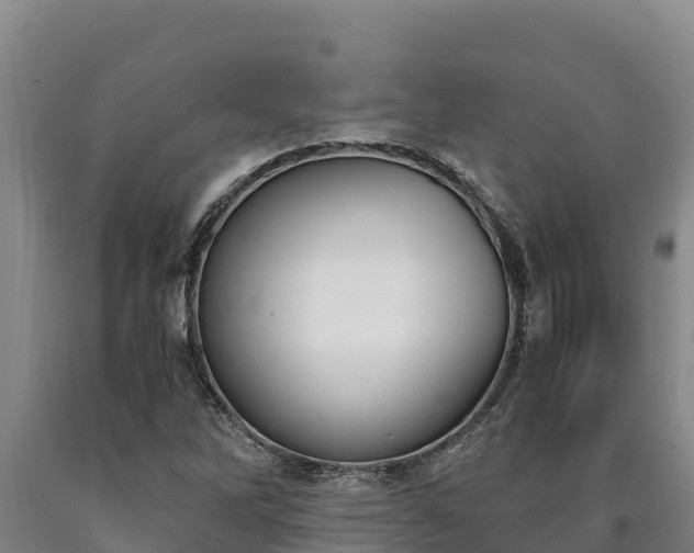 X0000090741262200707271417