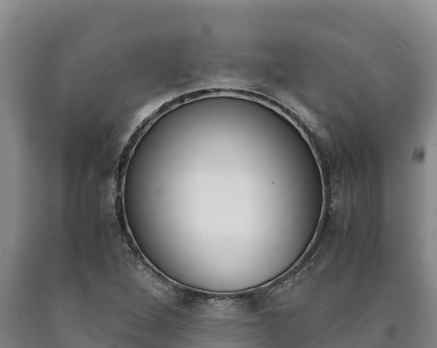 X0000090741264200707271417
